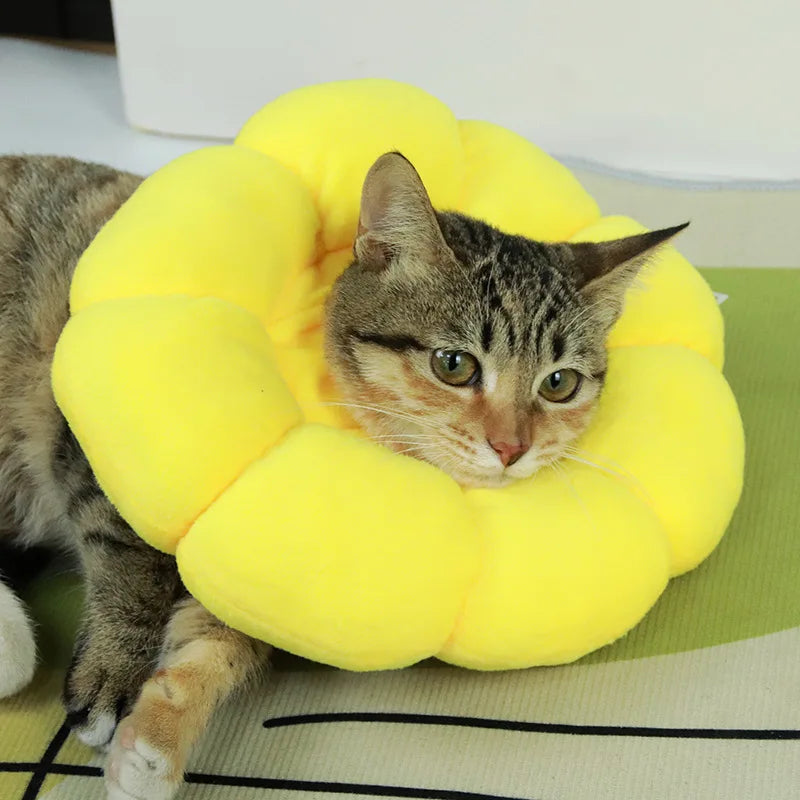 Sunflower Pet Recovery Collar Soft Anti Lick Cat Collar