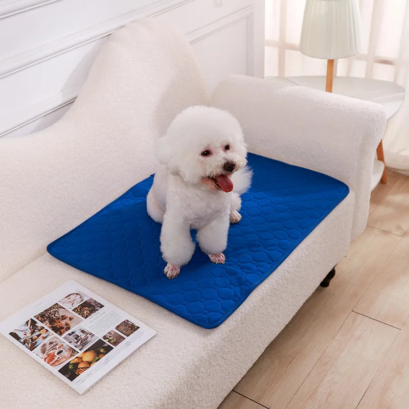 Reusable Dog Pee Pad Washable Absorbent Puppy Training Mat
