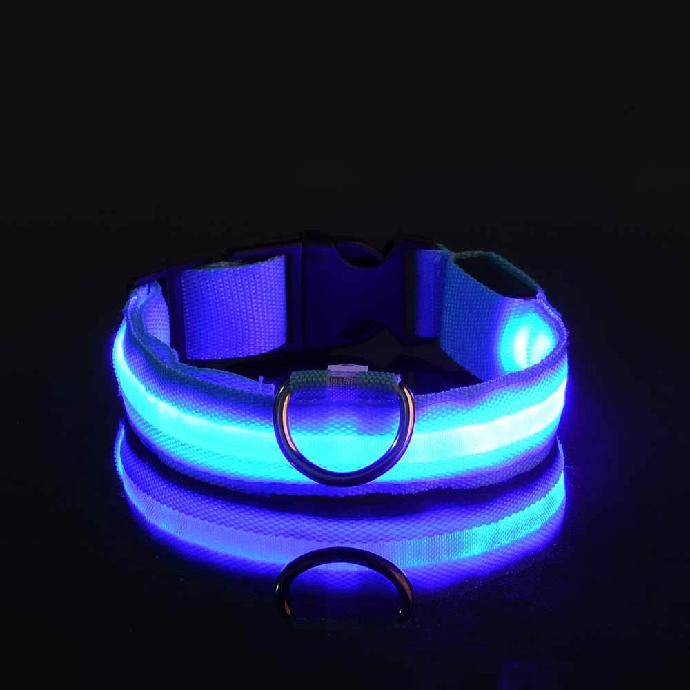 LED Dog Collar – Glow in the Dark Safety Collar for Night Walking, USB Rechargeable