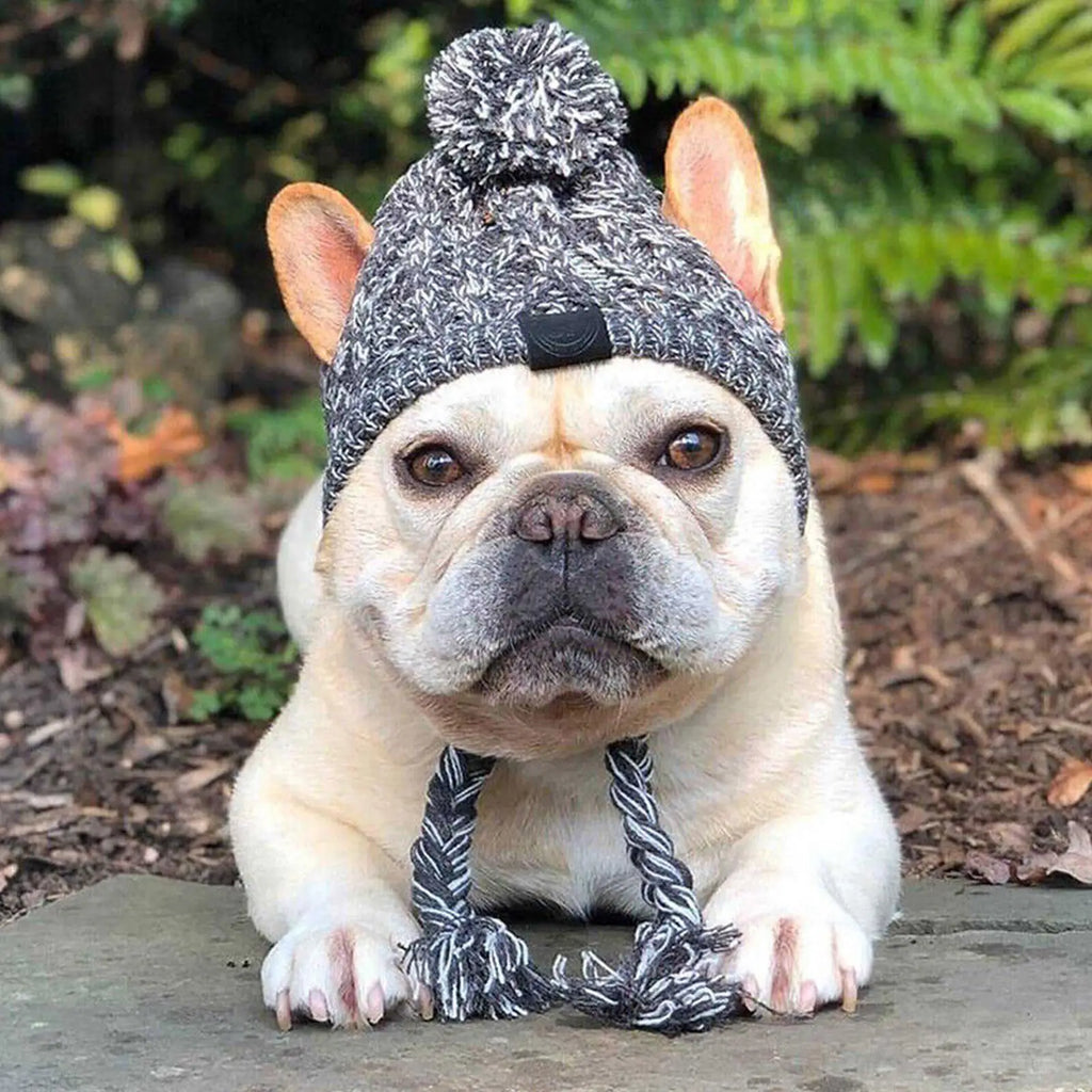 Winter Knit Dog Hat Warm Windproof Pet Cap for Small Dogs