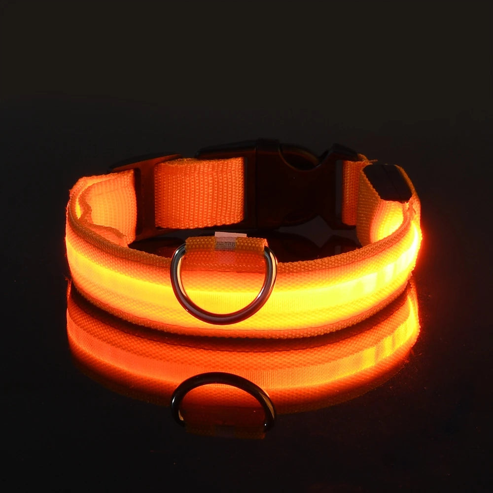 LED Dog Collar – Glow in the Dark Safety Collar for Night Walking, USB Rechargeable
