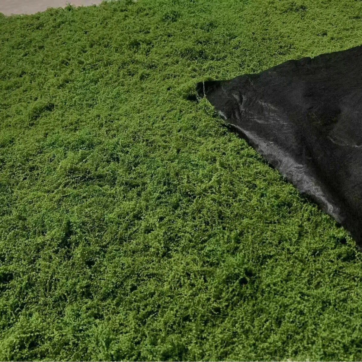 Artificial Moss Grass 1x1m Faux Green Plant Mat DIY Garden Home Decor