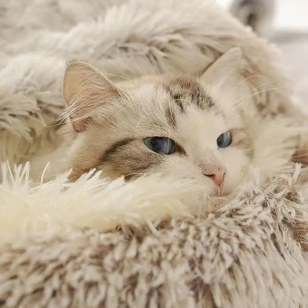 Winter Plush Round Cat Bed Warm 2 in 1 Sleeping Nest