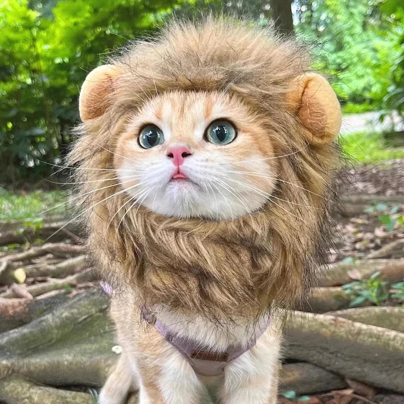 Lion Mane Pet Hat for Cats Dogs Winter Costume Accessory