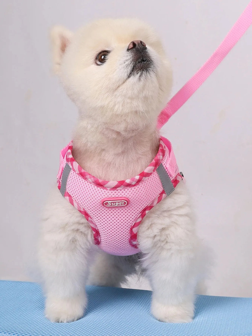 Adjustable No Pull Dog Harness for Small Medium Dogs