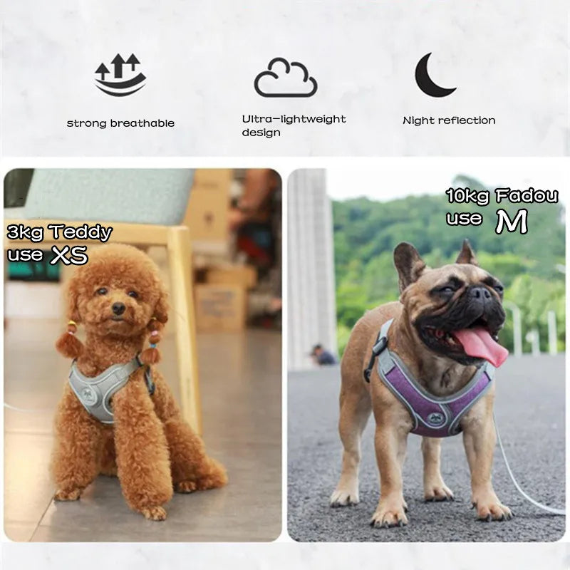 Reflective Mesh Dog Harness Vest for Small Large Dogs Cats