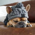 Winter Knit Dog Hat Warm Windproof Pet Cap for Small Dogs