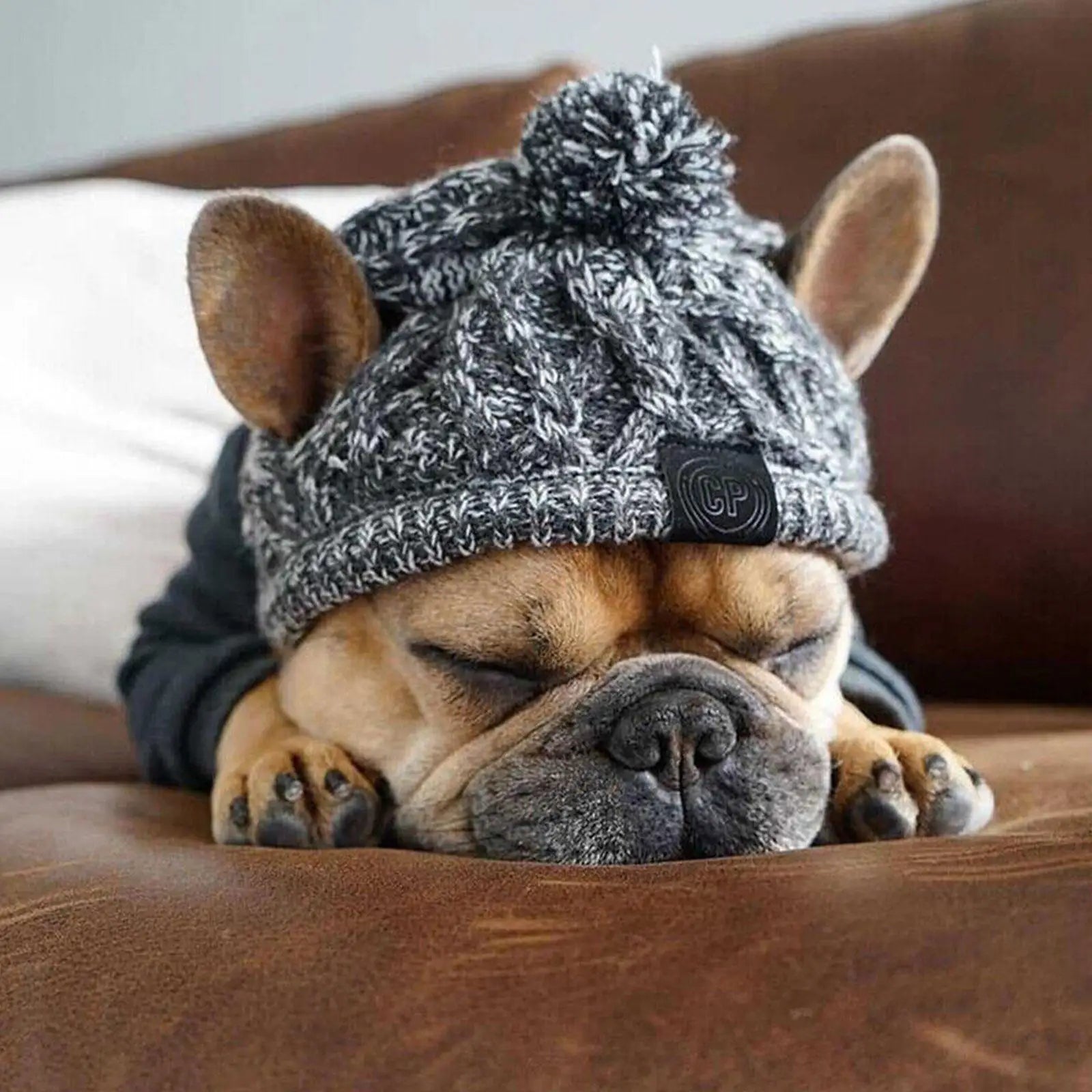 Winter Knit Dog Hat Warm Windproof Pet Cap for Small Dogs