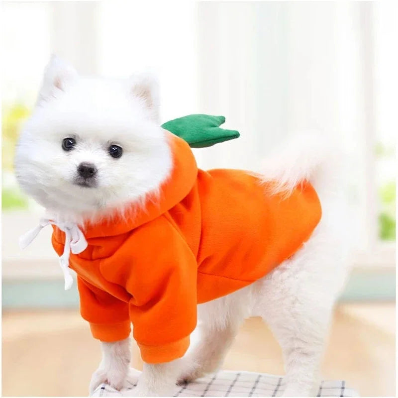 Cute Fruit Dog Hoodie Warm Fleece Pet Jacket
