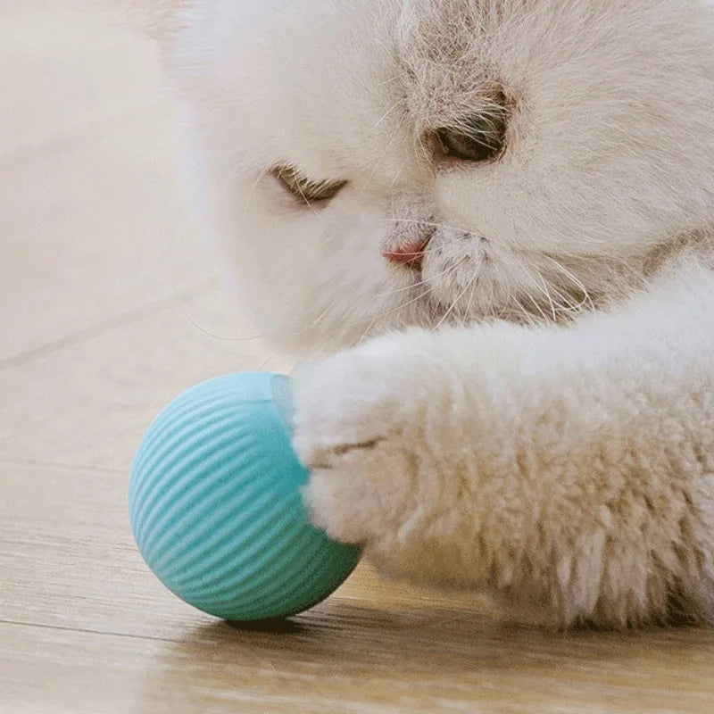 Automatic Cat Ball Toy – Interactive Rolling Motion Toy for Indoor Play