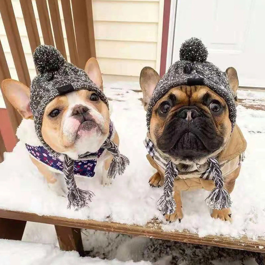 Winter Knit Dog Hat Warm Windproof Pet Cap for Small Dogs