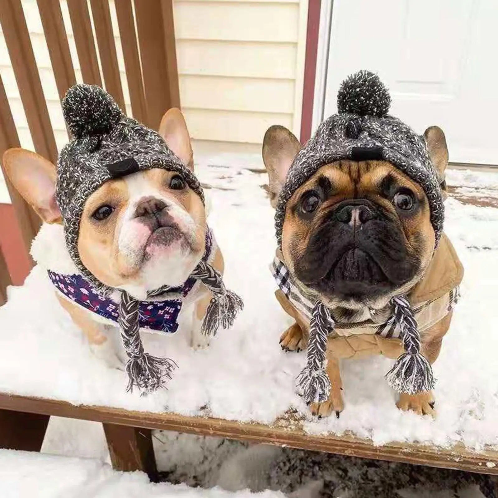 Winter Knit Dog Hat Warm Windproof Pet Cap for Small Dogs