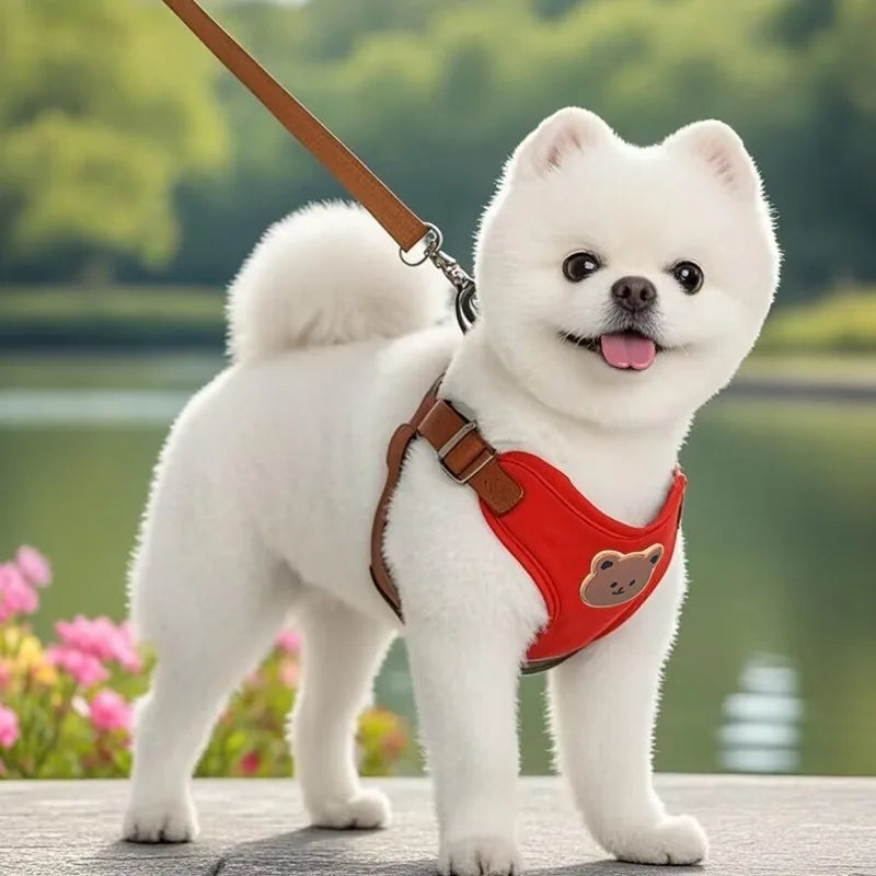 Breathable Dog Harness Leash Set for Small Medium Dogs and Cats
