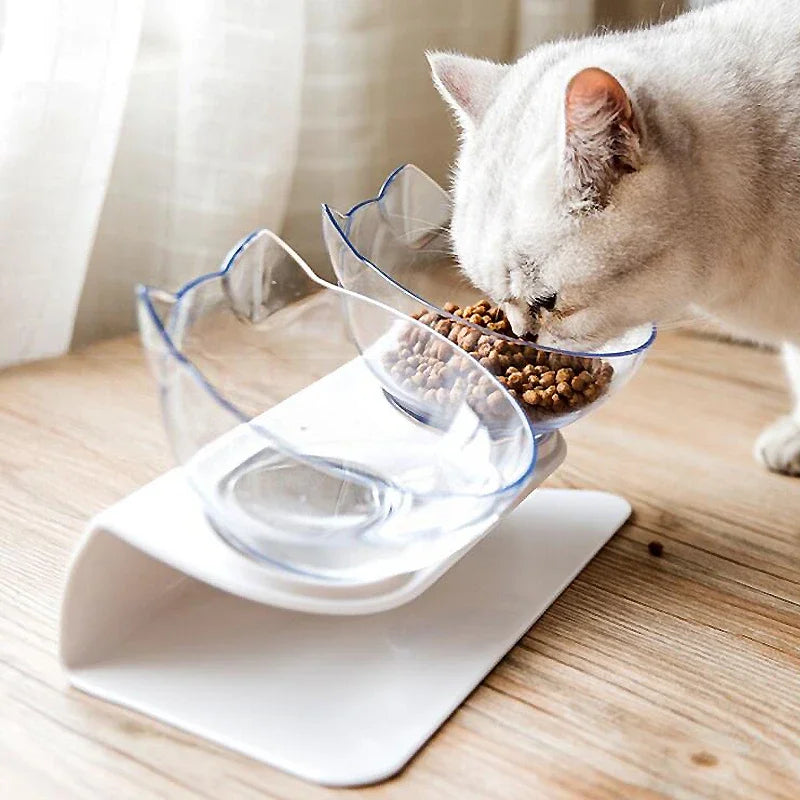 Non Slip Double Pet Bowl with Stand for Cats and Dogs