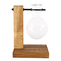 Glass Bulb Planter with Wooden Stand Hydroponic Desktop Vase Home Decor