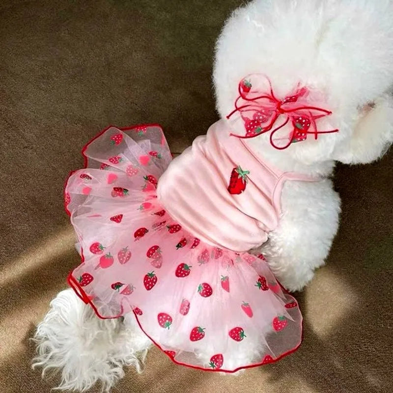 Small Dog Dress Lace Bow Puppy Summer Outfit Chihuahua Dog Costume Vest