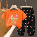 Toddler Girls Summer T-Shirt and Pants Set Cute Kids Two Piece Outfit