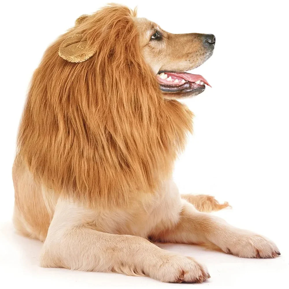 Dog Lion Mane Costume Realistic Pet Wig for Medium Large Dogs