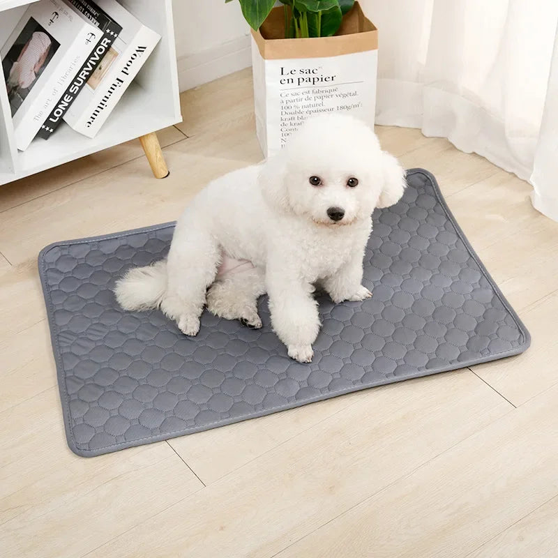 Reusable Dog Pee Pad Washable Absorbent Puppy Training Mat
