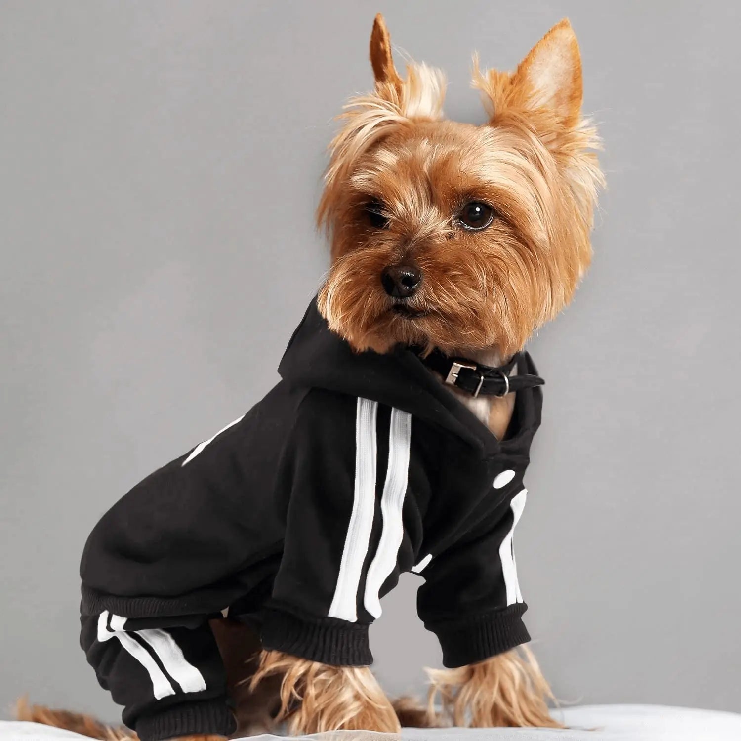 Cute Dog Hoodie Jumpsuit – Sport Outfit for Small Dogs