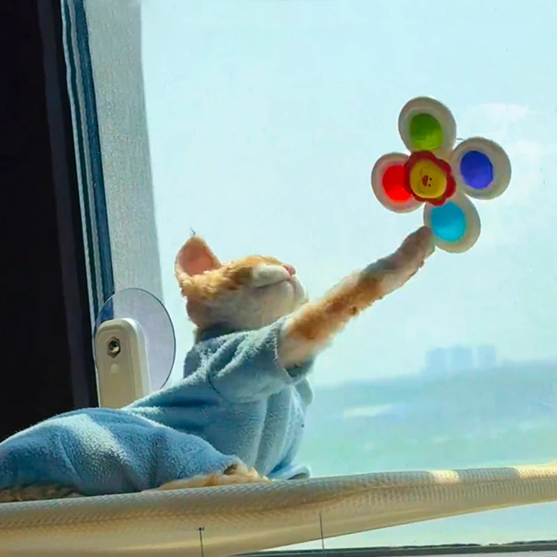 3pcs Cartoon Spinning Bath Toys with Suction Cups