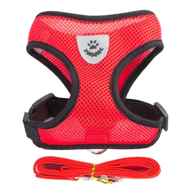 Cat Harness & Leash Set – Escape Proof Vest Harness for Cats & Small Dogs