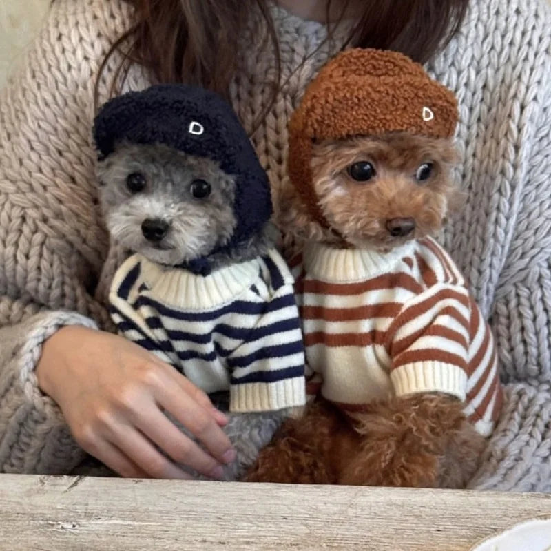 Bear Print Dog Knitted Sweater Warm Coat for Small Dogs