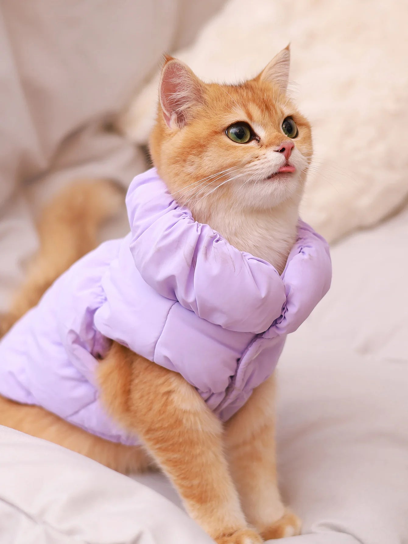 Warm Winter Dog Jacket for Small Medium Dogs