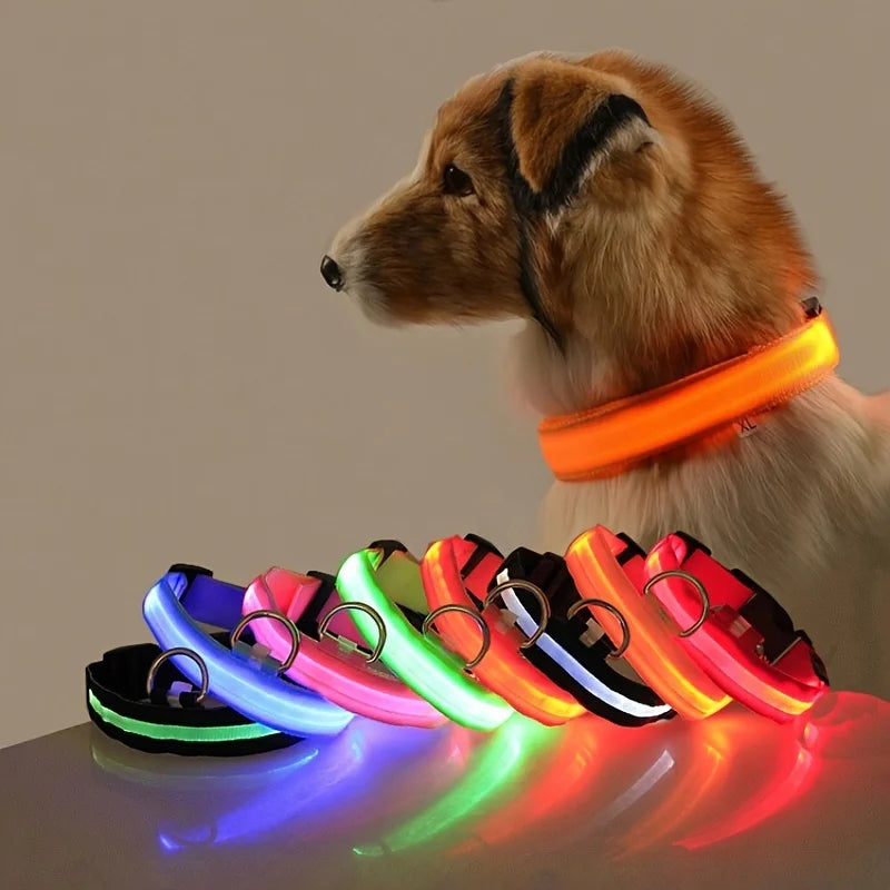 LED Dog Collar – Glow in the Dark Safety Collar for Night Walking, USB Rechargeable