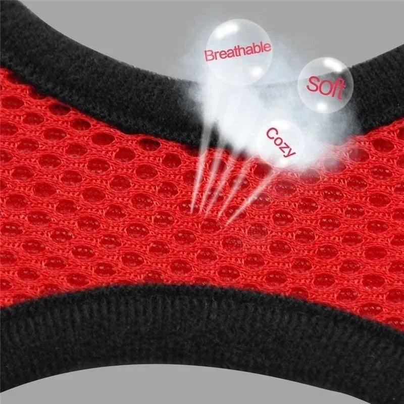 Cat Harness & Leash Set – Escape Proof Vest Harness for Cats & Small Dogs