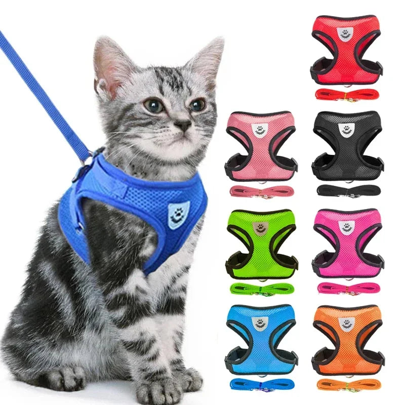 Cat Harness & Leash Set – Escape Proof Vest Harness for Cats & Small Dogs