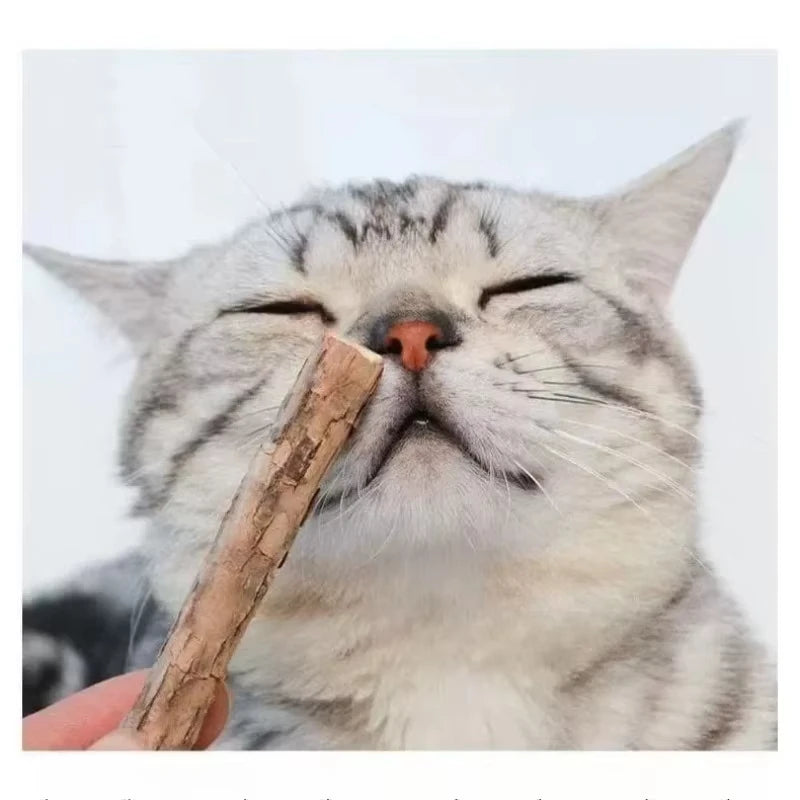 Catnip Chew Sticks 20pcs Natural Cat Toys for Teeth Cleaning