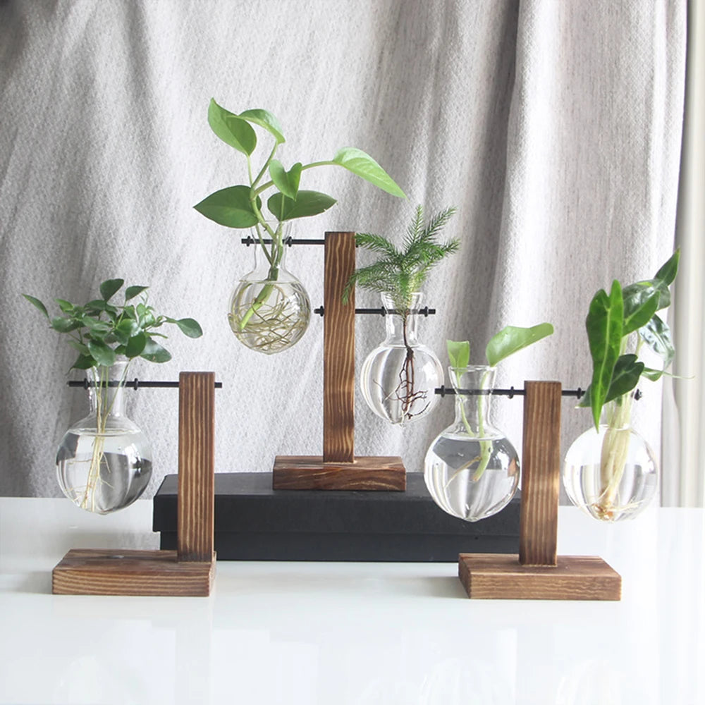 Glass Bulb Planter with Wooden Stand Hydroponic Desktop Vase Home Decor