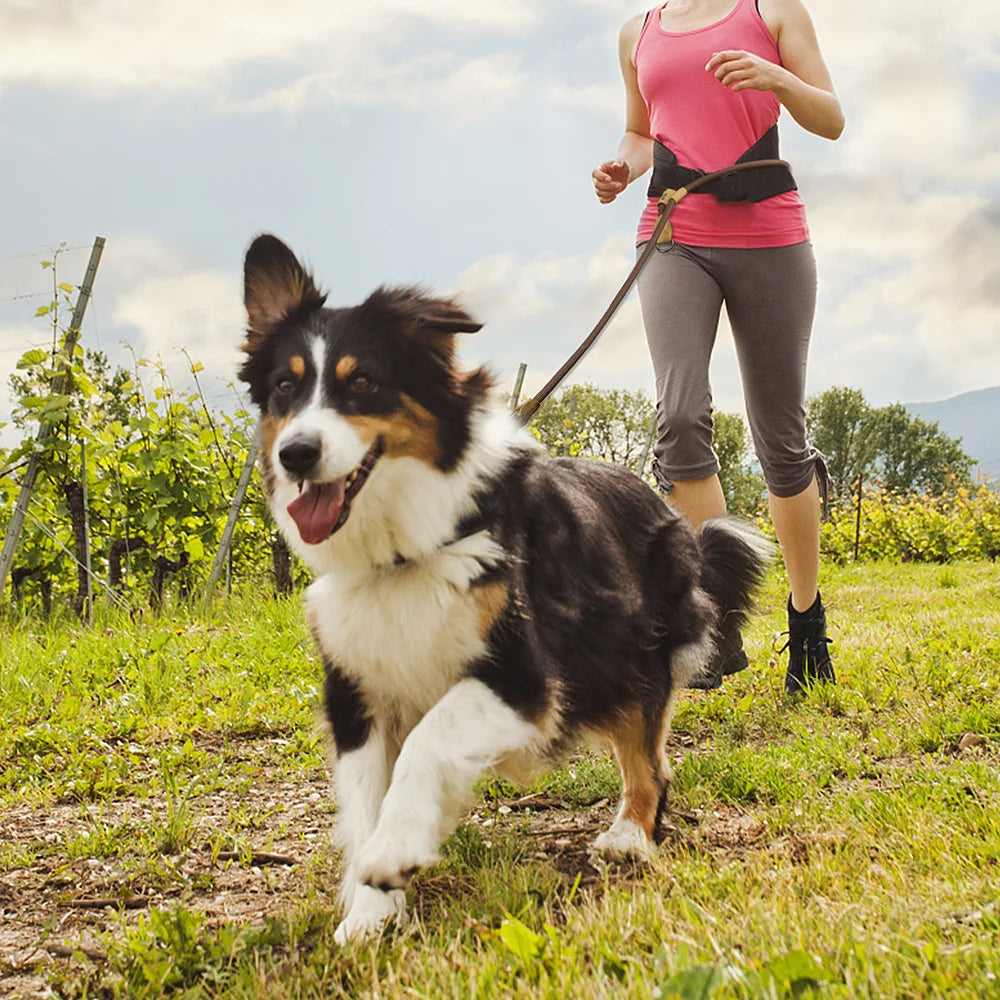 Hands Free Dog Leash 1.8M Adjustable Waist Leash for Running Walking