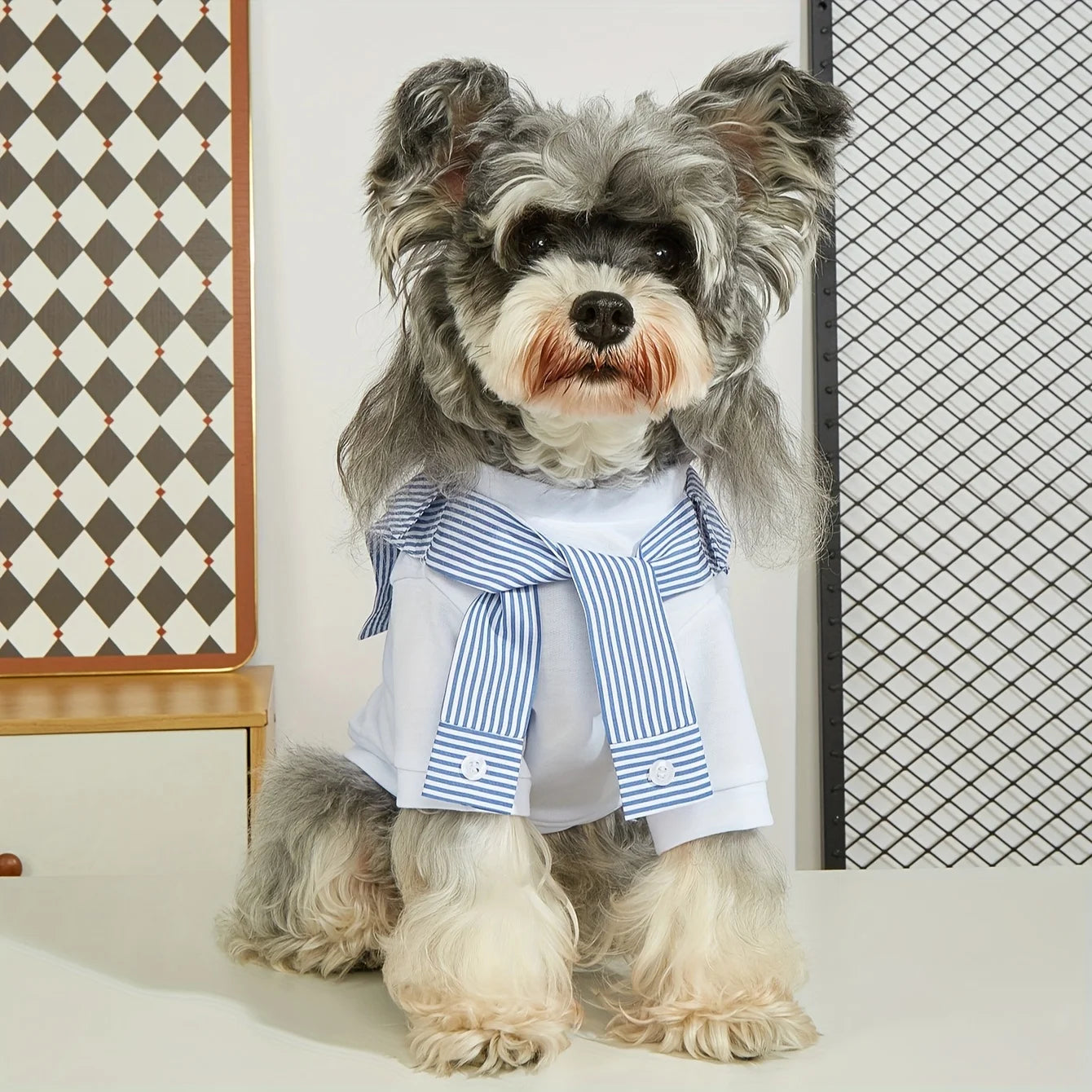 Summer Dog T-Shirt – Casual Breathable Pet Clothes for Small & Medium Dogs