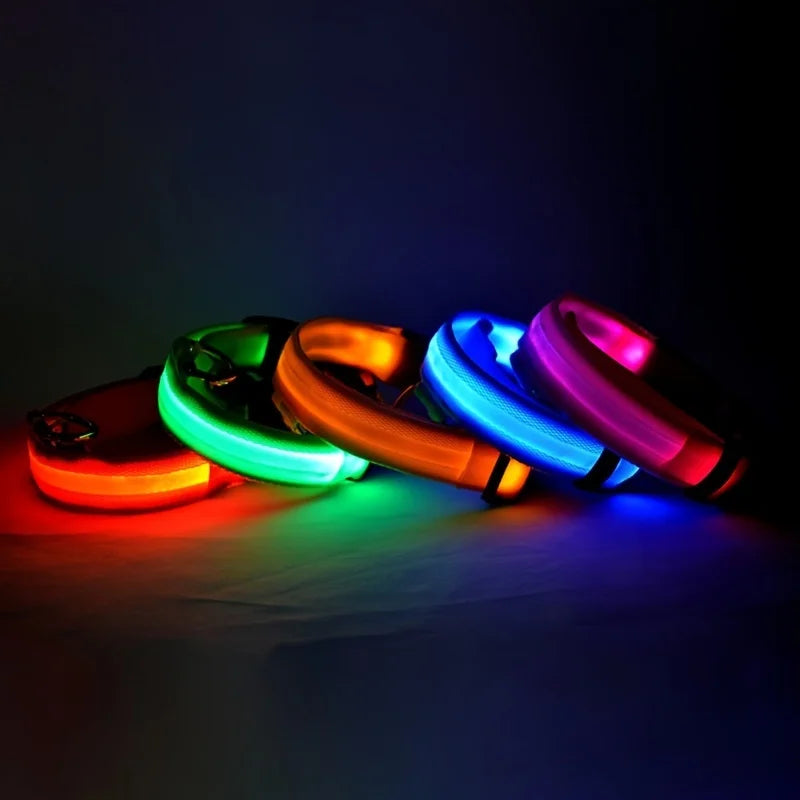 LED Dog Collar – Glow in the Dark Safety Collar for Night Walking, USB Rechargeable