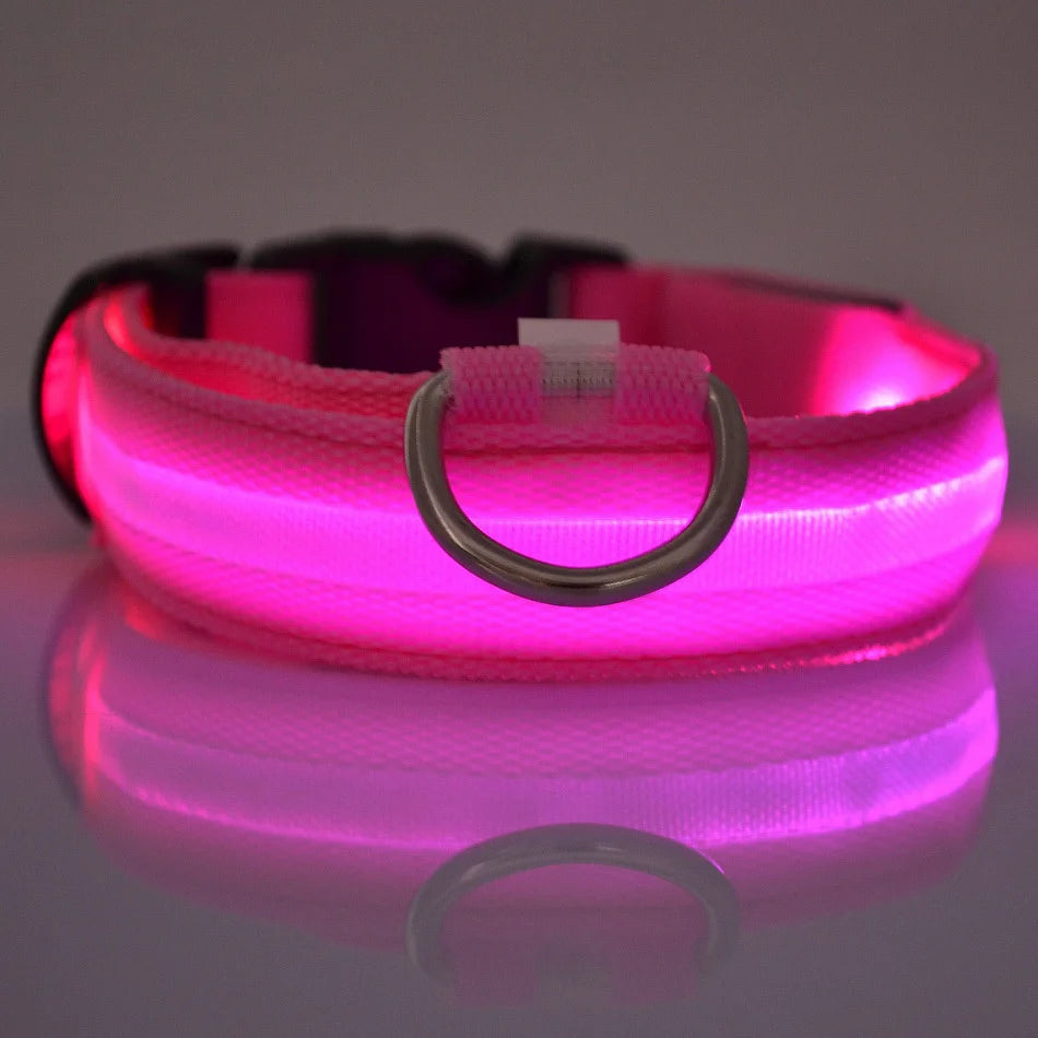LED Dog Collar – Glow in the Dark Safety Collar for Night Walking, USB Rechargeable