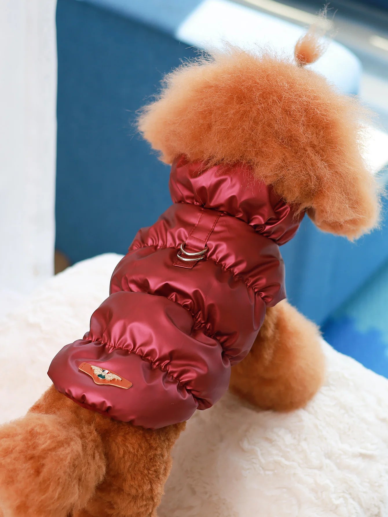Warm Winter Dog Jacket for Small Medium Dogs