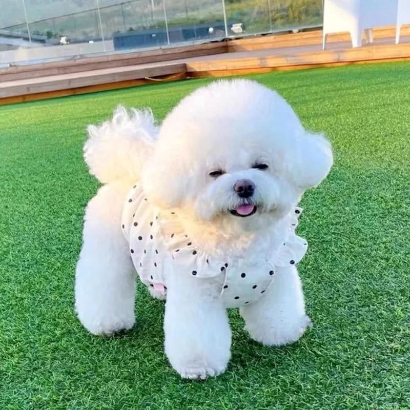 Cute Polka Dot Pet Dress Summer Puppy Skirt for Small Dogs and Cats