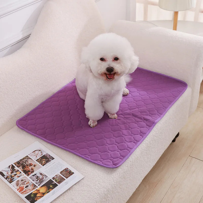Reusable Dog Pee Pad Washable Absorbent Puppy Training Mat