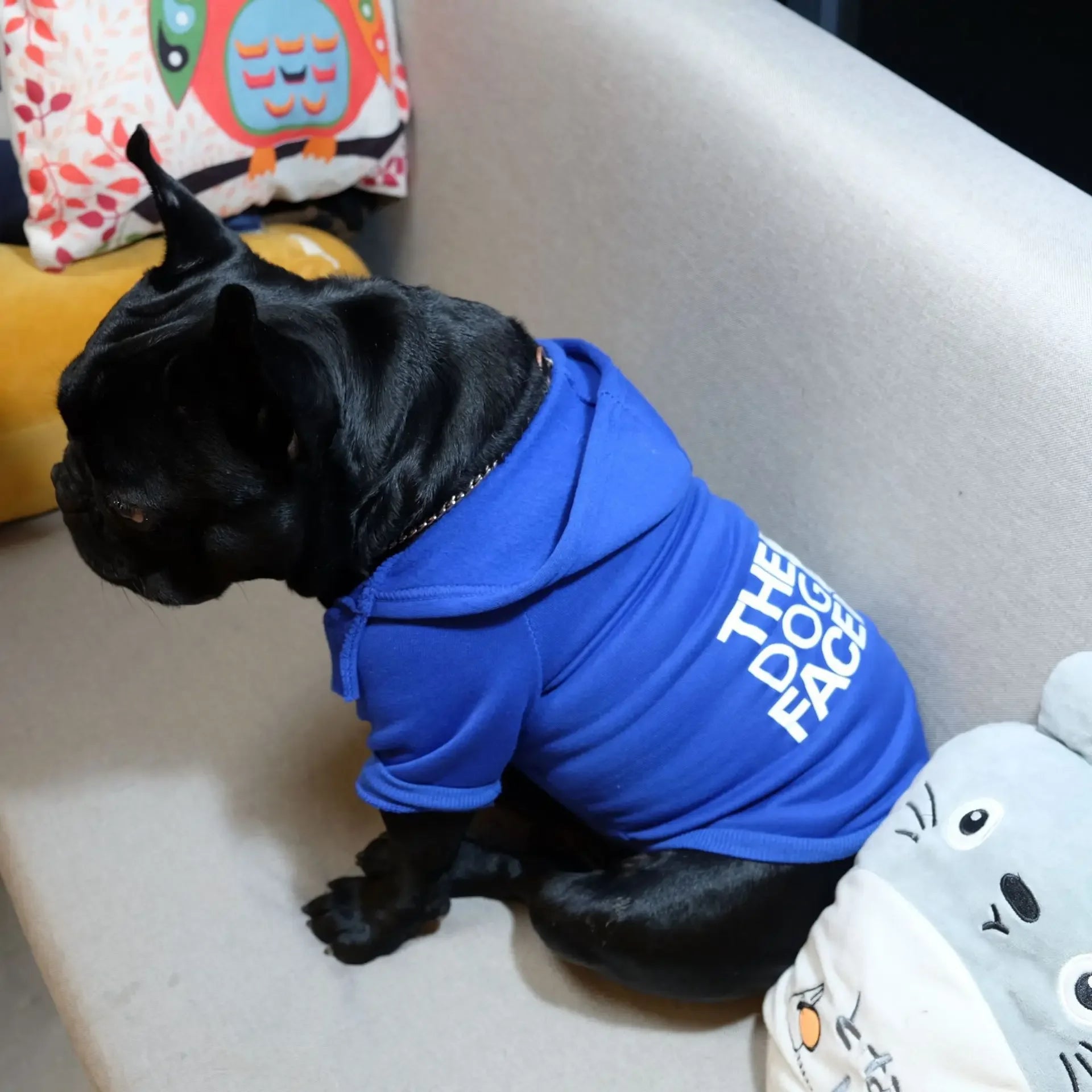 Winter Dog Hoodie Warm Jacket for Large Dogs