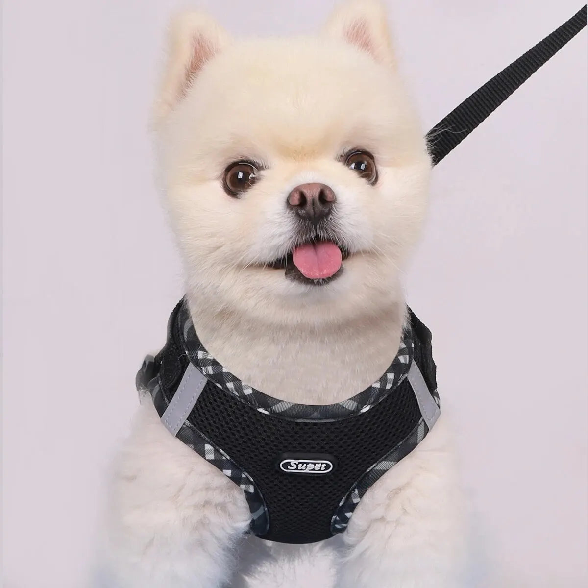 Adjustable No Pull Dog Harness for Small Medium Dogs