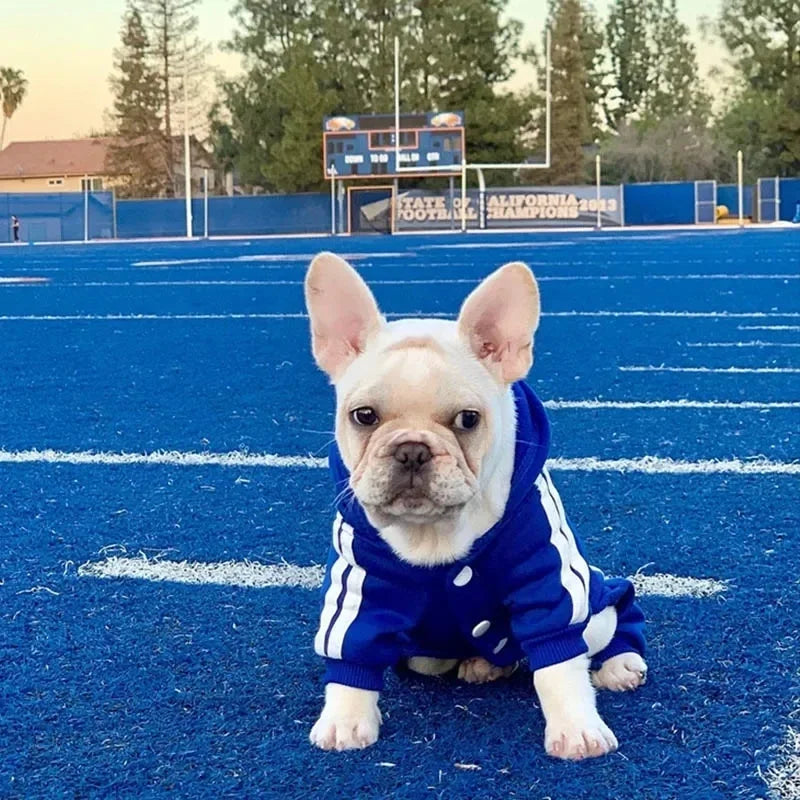 Small Dog Jumpsuit Puppy Outfit for French Bulldog Chihuahua Pug