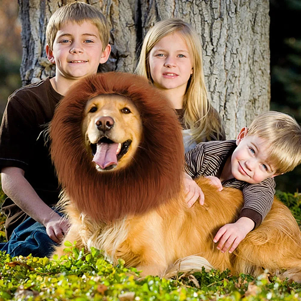 Dog Lion Mane Costume Realistic Pet Wig for Medium Large Dogs