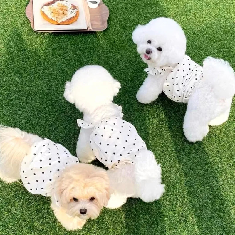 Cute Polka Dot Pet Dress Summer Puppy Skirt for Small Dogs and Cats