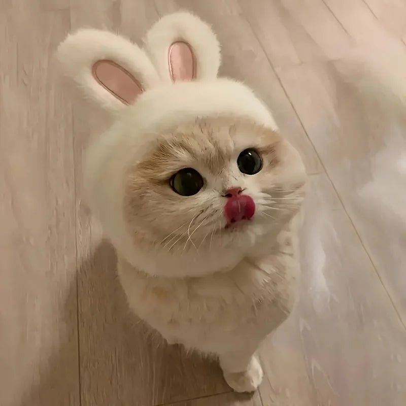 Bunny Ears Cat Hat Knit Pet Costume for Cats & Small Dogs