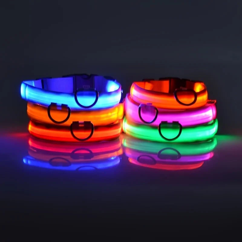 LED Dog Collar – Glow in the Dark Safety Collar for Night Walking, USB Rechargeable