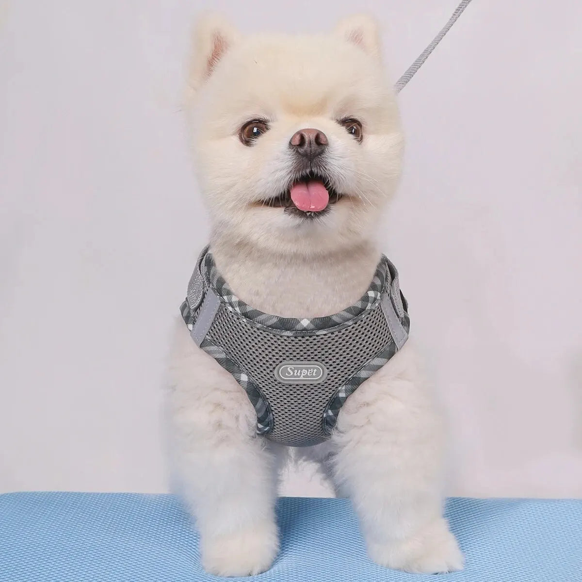 Adjustable No Pull Dog Harness for Small Medium Dogs