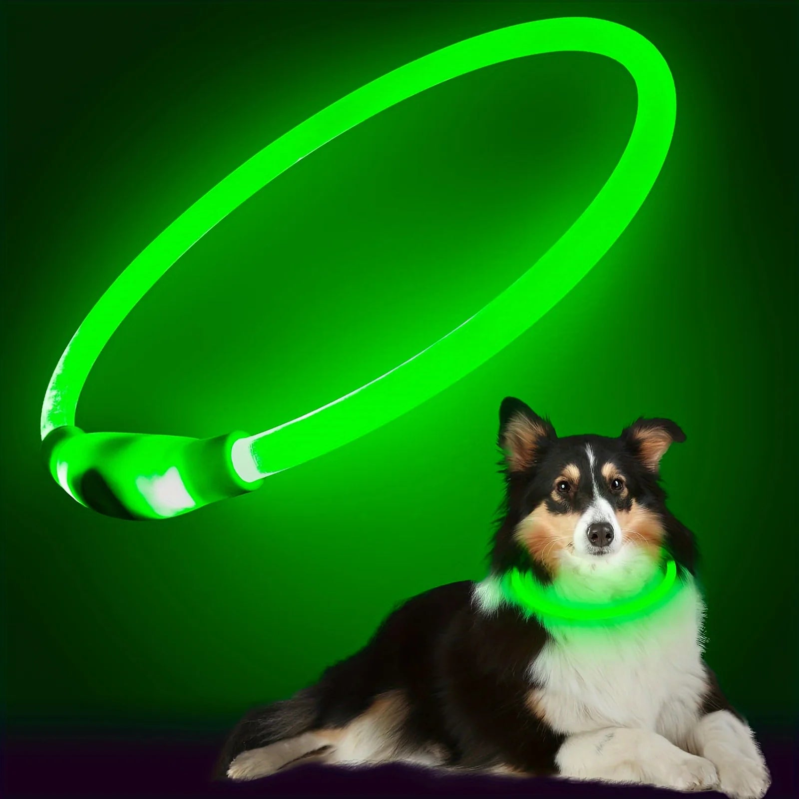 LED Dog Collar – USB Rechargeable Light-Up Collar for Night Walking