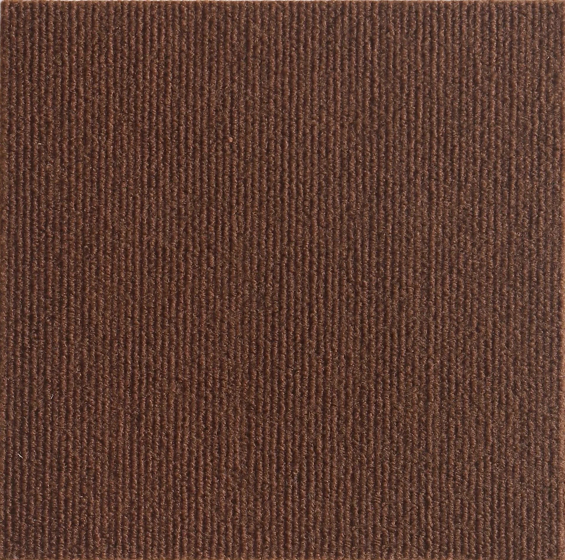 Cat Scratching Mat Self-Adhesive – Furniture Protector Anti-Scratch Carpet for Sofa & Wall